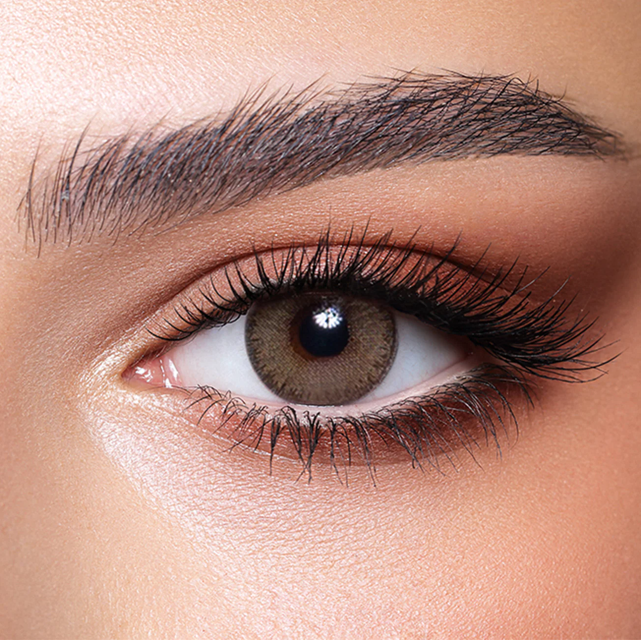 GreenOlive-1 GreenOlive-1