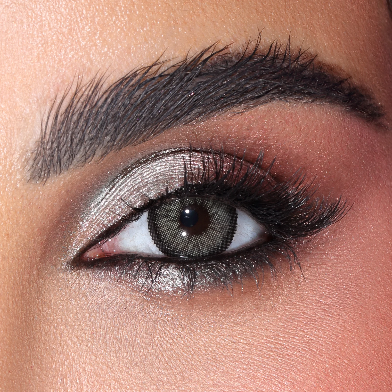 amara-lenses-snake-mylenses-2 amara-lenses-snake-mylenses-2