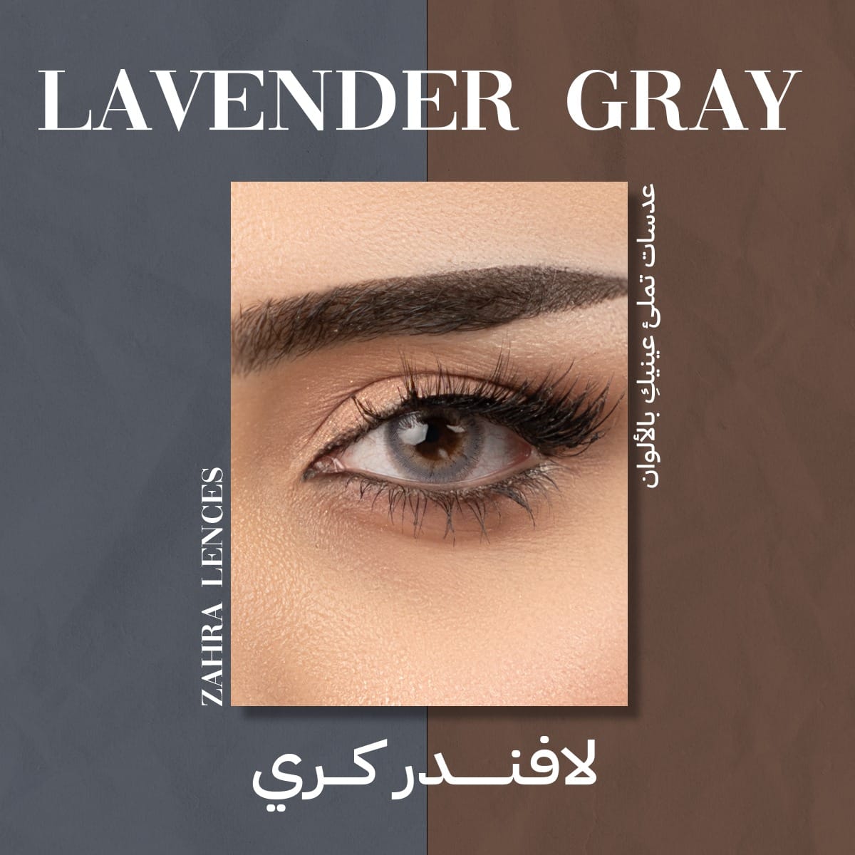 Lavender-Gray-zahra-lenses-3 Lavender-Gray-zahra-lenses-3